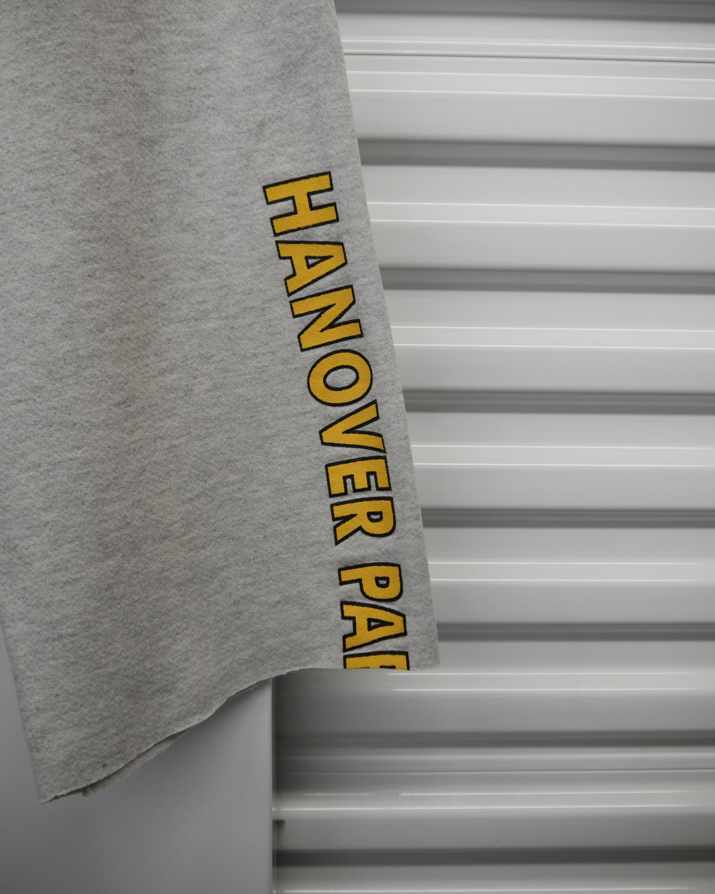 90s “Hanover Park” Raw Hem Back Hit Shorts (30-34)